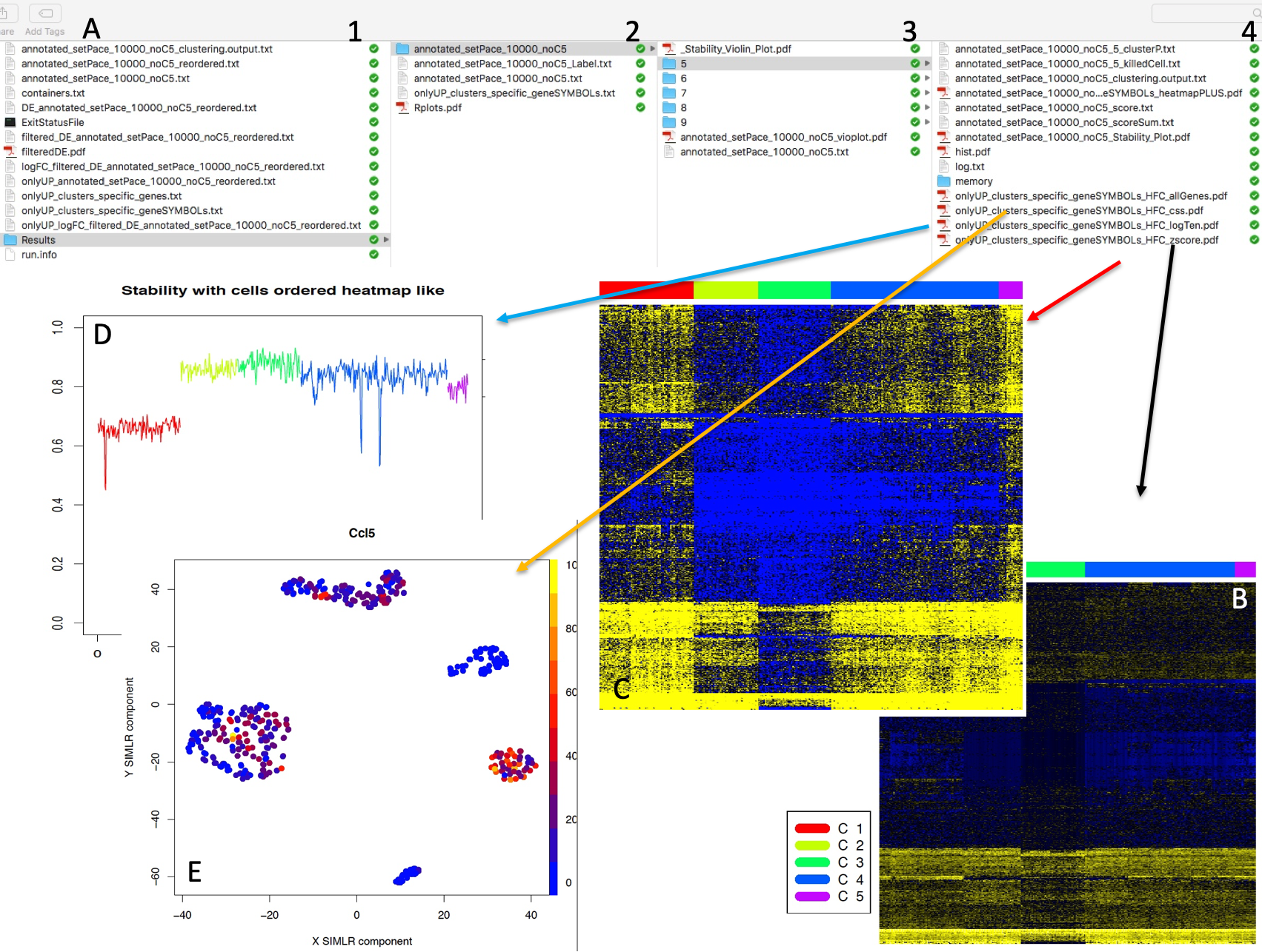 Output of hfc. A) Path of location of hfc function results. The output is located in cluster folder used for the analysis, B) Log10 counts heatmap, high number of counts is indicated by bright yellow color as instead low number of counts is indicated by bright blue color. On the top of the figure clusters are represented as bars of different colors, C) Z-score heatmap, high positive Z-score is indicated by bright yellow color as instead high negative Z-core is indicated by bright blue color, D) Cell Stability Score for each cell in each cluster, for more information see Section 5, CSS is represented with different colors lines on the basis of the belonging cluster, E) SIMLR clustering output for each gene within those used to generate the heatmap. Cells are colored on the basis of the amount of CPMs for the gene under analysis, blue color refers to low CPM as instead bright yellow indicates high CPM.