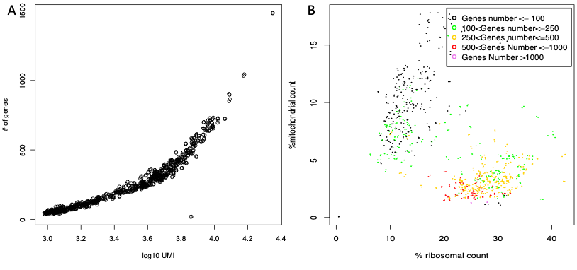 mitoRiboUmi output: A) Number of detected genes plotted for each cell with respect to the total number of UMI/reads in that cell. B) Percentage of mitochondrial protein genes plotted with respect to percentage of ribosomal protein genes. Cells are colored on the basis of total number detected genes
