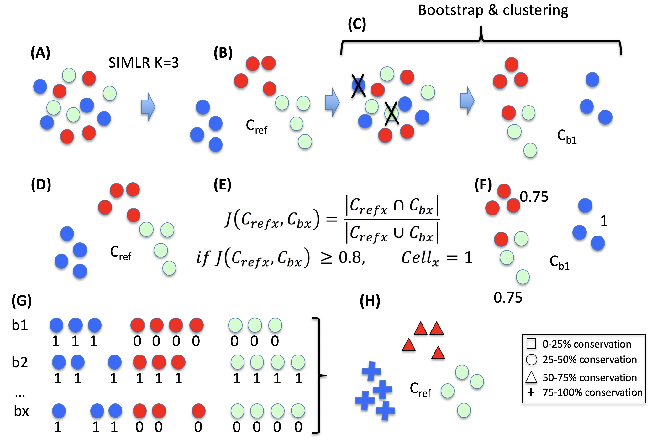 Cell stability score